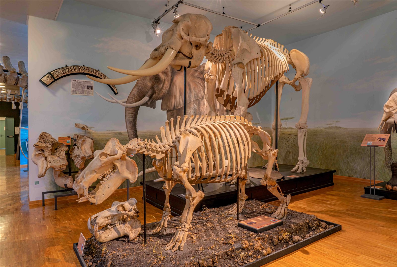 Natural History Museum
